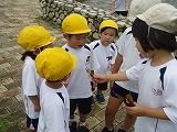 img_20130628-155353.jpg