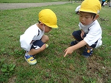 img_20130628-155506.jpg