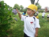 img_20130628-155558.jpg