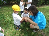 img_20130628-155618.jpg