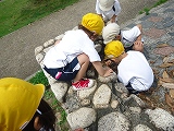 img_20130628-155741.jpg