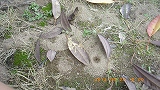 img_20130628-171716.jpg