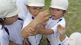 img_20130628-171748.jpg