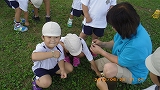 img_20130628-171806.jpg