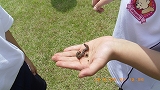 img_20130628-171928.jpg
