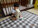 img_20130628-182229.jpg