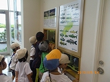 img_20130724-184341.jpg