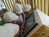 img_20130724-184352.jpg