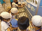 img_20130724-184401.jpg