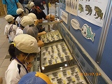 img_20130724-184416.jpg