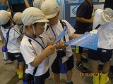 img_20130724-184438.jpg