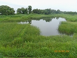 img_20130724-184606.jpg