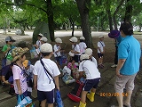 img_20130724-184741.jpg