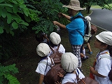 img_20130726-202033.jpg