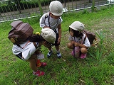 img_20130726-202105.jpg