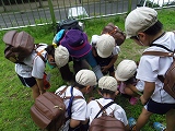 img_20130726-202113.jpg