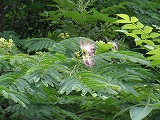 img_20130726-202130.jpg