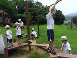 img_20130726-202139.jpg