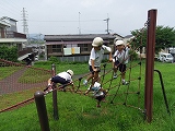 img_20130726-202211.jpg
