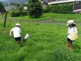 img_20130726-202223.jpg