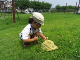 img_20130726-202246.jpg