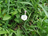 img_20130726-202256.jpg