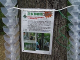 img_20130726-202351.jpg