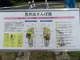 img_20130726-202505.jpg