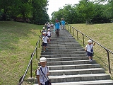 img_20130726-202514.jpg