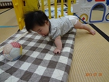img_20130729-190139.jpg