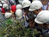 img_20130801-192351.jpg
