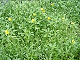 img_20130801-192433.jpg