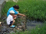 img_20130801-192439.jpg