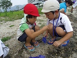 img_20130801-192514.jpg