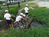 img_20130801-192524.jpg