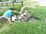 img_20130801-192532.jpg