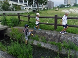 img_20130801-192552.jpg
