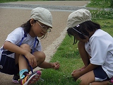 img_20130801-192728.jpg