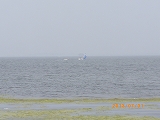 img_20130801-192747.jpg