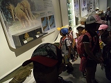 img_20130821-190656.jpg
