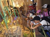 img_20130821-190720.jpg