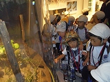 img_20130821-190733.jpg