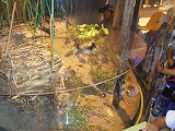 img_20130821-190742.jpg