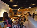 img_20130821-190806.jpg