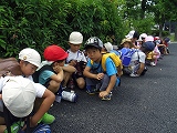 img_20130821-191759.jpg