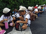 img_20130821-191821.jpg