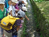 img_20130823-195951.jpg