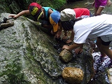 img_20130823-201222.jpg