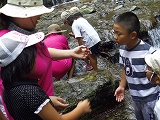 img_20130823-201236.jpg