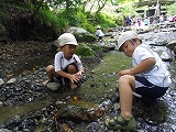 img_20130823-201437.jpg
